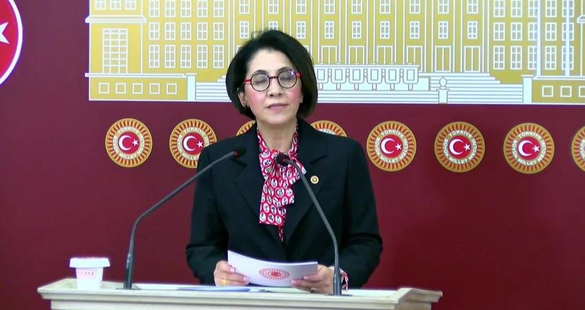 CHP Ankara Milletvekili Aylin Yaman, Sağlık Hizmetleri Lisans Yönetmeliği kapsamında