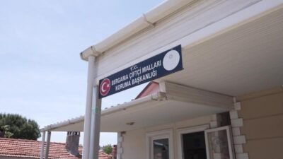 İzmir Büyükşehir Belediyesi, zorlu koşullarda var olma mücadelesi veren çiftçiyi