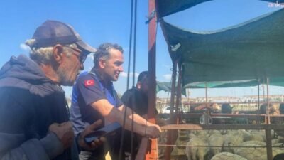 Çiğli Belediyesi Zabıta Müdürlüğü ile İlçe Kurban Komisyonu ekipleri, Kurban