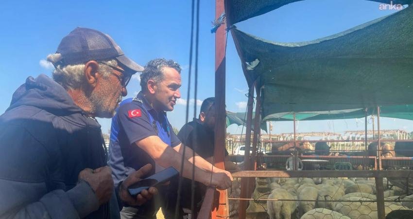 Çiğli Belediyesi Zabıta Müdürlüğü ile İlçe Kurban Komisyonu ekipleri, Kurban