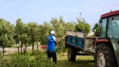 Didim Belediyesi ekipleri, ilçe genelindeki okullarda ot biçme ve çevre