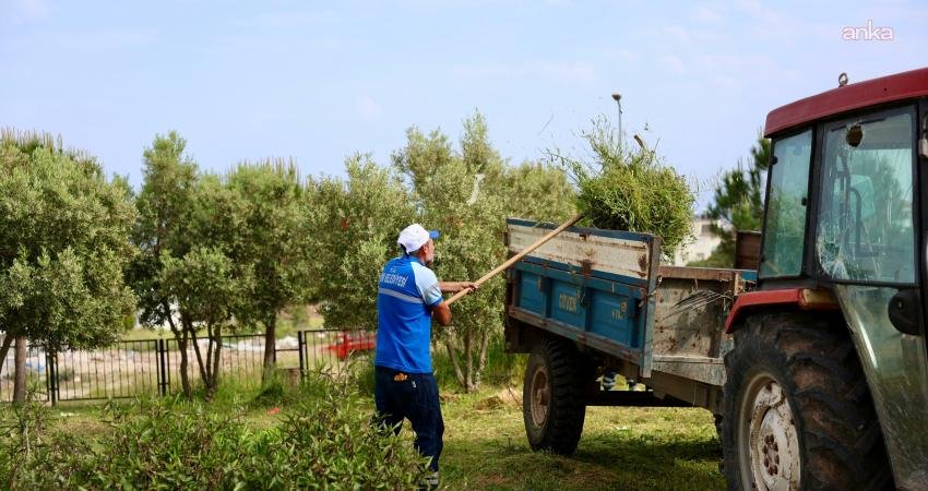 Didim Belediyesi ekipleri, ilçe genelindeki okullarda ot biçme ve çevre