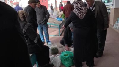 Orta Anadolu bölgesinde yaşayanların ortak damak tatlarından biri olan, doğada