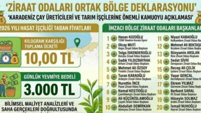 Karadeniz’de çay hasadı yapılan bölgelerdeki ziraat odaları, 2026 sezonunda kilogram