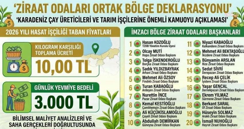 Karadeniz’de çay hasadı yapılan bölgelerdeki ziraat odaları, 2026 sezonunda kilogram