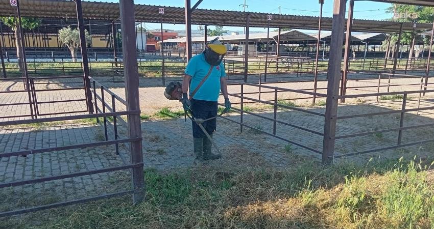 Efeler Belediyesi, Kurban Bayramı öncesinde vatandaşların ve üreticilerin daha sağlıklı,