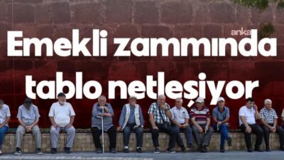 Türkiye İstatistik Kurumu'nun (TÜİK), nisan ayı tüketici enflasyonunu açıklamasıyla, emekli,