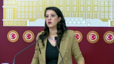 EMEP Gaziantep Milletvekili Sevda Karaca, Gaziantep ve Şanlıurfa’da süper hücre felaketinin