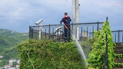 Giresun Belediyesi Belediye Veteriner İşleri Müdürlüğü ekipleri, yaz sezonu ve Uluslararası Aksu