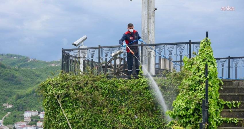 Giresun Belediyesi Belediye Veteriner İşleri Müdürlüğü ekipleri, yaz sezonu ve Uluslararası Aksu