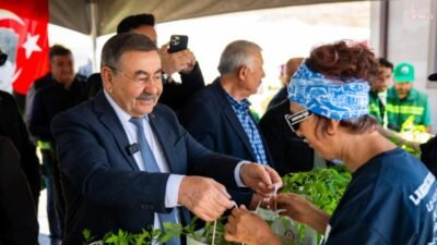 Gölbaşı Belediyesi seralarında ata tohumlarından üretilen 190 bin fide vatandaşlara
