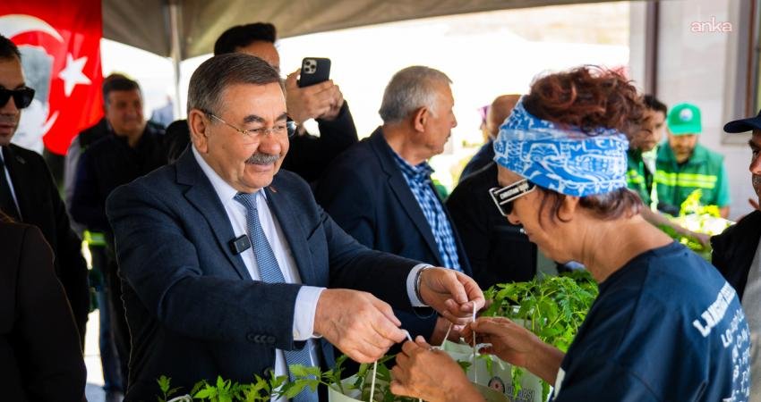 Gölbaşı Belediyesi seralarında ata tohumlarından üretilen 190 bin fide vatandaşlara