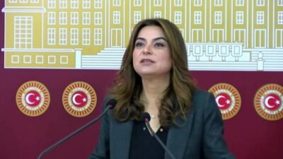 DEM Parti Grup Başkanvekili Gülistan Kılıç Koçyiğit, "çözüm sürecine" ilişkin,