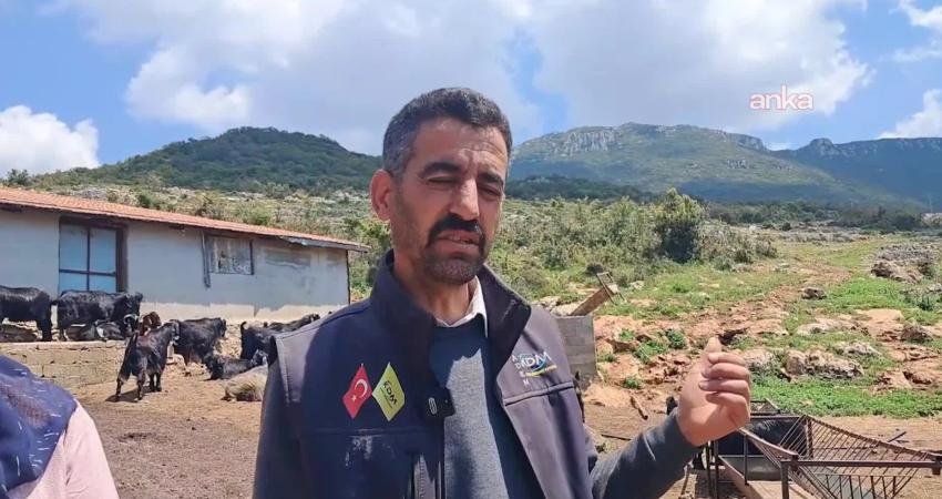 Hatay’ın Yayladağı ilçesine bağlı Çaksına Köyü'nde yaşayan Nurullah Şengül, iki