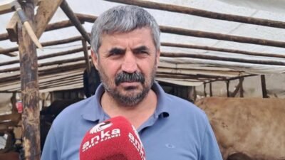 Artvin’in Hopa ilçesinde Kurban Bayramı’na kısa süre kala kurban pazarındaki