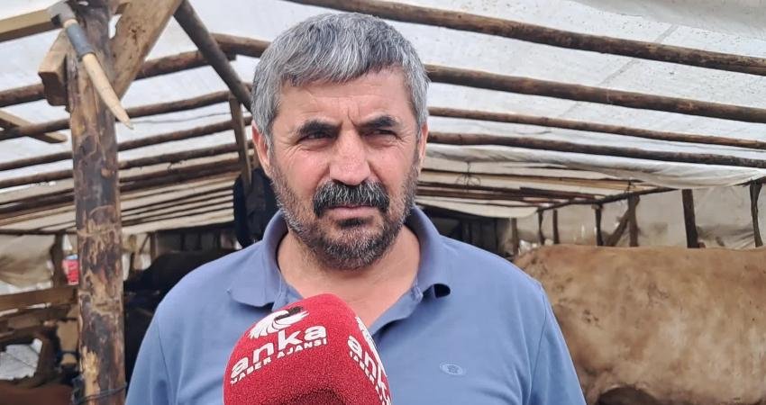 Artvin’in Hopa ilçesinde Kurban Bayramı’na kısa süre kala kurban pazarındaki