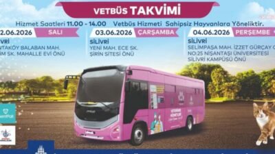 İstanbul Büyükşehir Belediyesi Veteriner Birimi VETBÜS, sokakta yaşayan hayvanların sağlık