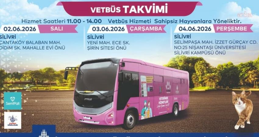 İstanbul Büyükşehir Belediyesi Veteriner Birimi VETBÜS, sokakta yaşayan hayvanların sağlık