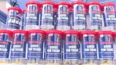 İzmir Büyükşehir Belediyesi, incirde kalite kaybına neden olan ekşilik böceğiyle
