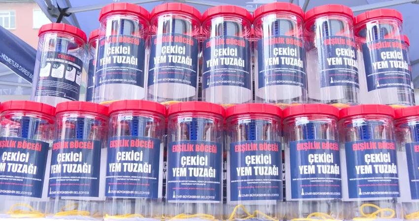 İzmir Büyükşehir Belediyesi, incirde kalite kaybına neden olan ekşilik böceğiyle