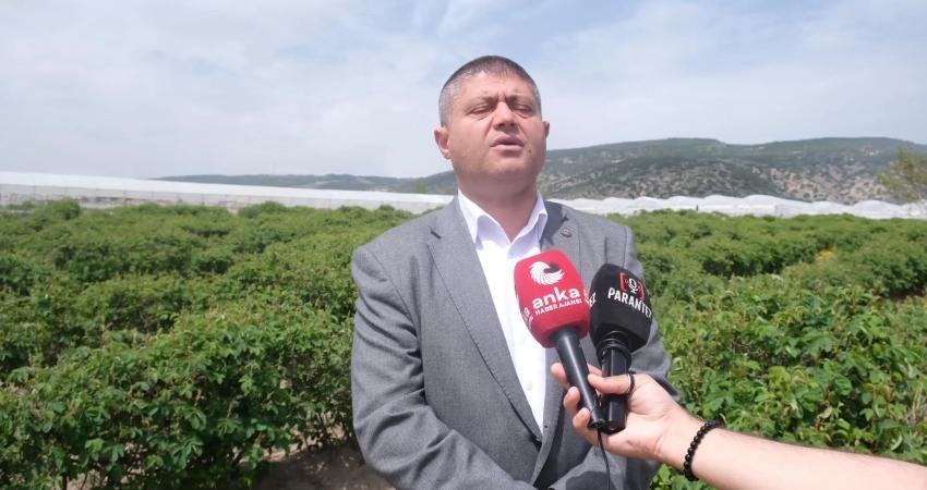 Isparta Ziraat Odası Başkanı Mustahattin Can Selçuk, Gülyağı ve Yağlı Tohumlar Tarım