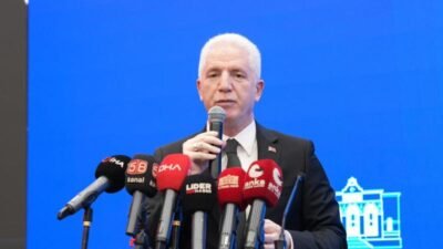 İstanbul Valisi Davut Gül, kentte sahipsiz hayvanların yüzde 46'sinin toplandığını,