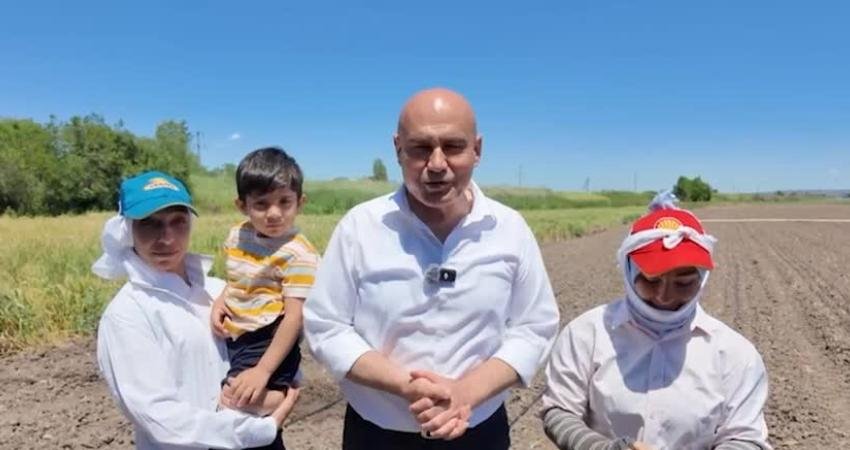 İYİ Parti Grup Başkanvekili Turhan Çömez, Bursa'nın Kemalpaşa ilçesinde domates