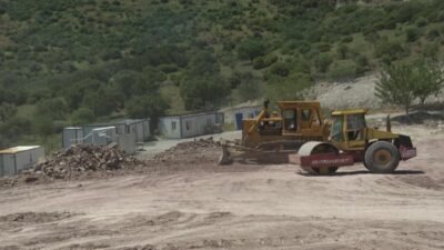 İzmir Büyükşehir Belediyesi, Dikili’de ameliyathaneden doğal yaşam alanlarına, bakım ve
