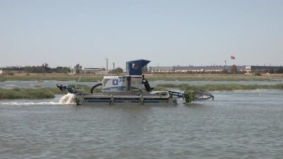 İzmir Körfezi’nde özellikle Gediz Nehri ve Ağıl Deresi üzerinden taşınan