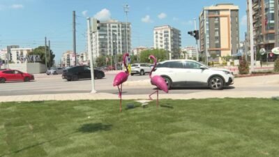İzmir’de yılbaşından bu yana 1 milyon bitki dikildi İzmir Büyükşehir Belediyesi, yılbaşından bu yana 18 bini ağaç olmak