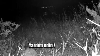 Manisa’da kaybolduğu ihbar edilen bir vatandaş, jandarma ekiplerinin güvenlik kameralarını
