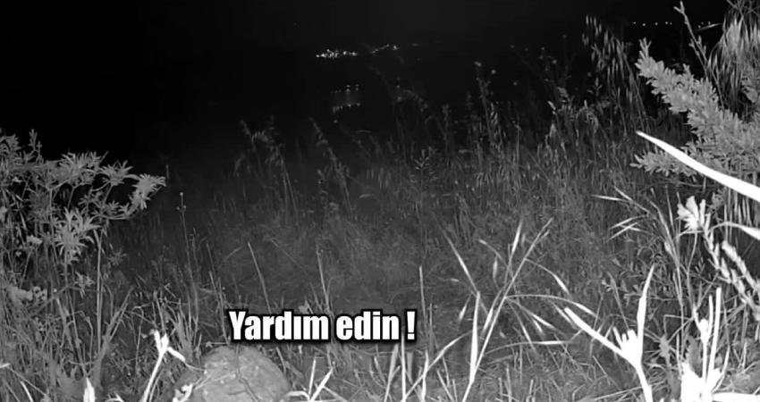 Jandarma ekipleri kaybolan vatandaşı su içerisinde bulup kurtardı Manisa’da kaybolduğu ihbar edilen bir vatandaş, jandarma ekiplerinin güvenlik kameralarını