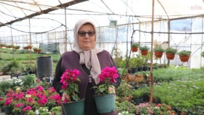Muğla Büyükşehir Belediyesi, alım garantili çiçek üretim modeli ile 28