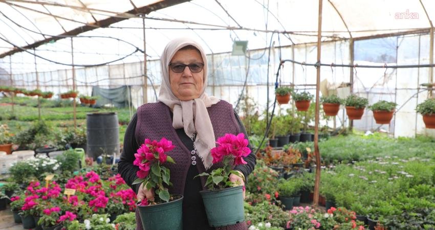 Muğla Büyükşehir Belediyesi, alım garantili çiçek üretim modeli ile 28