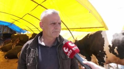 Kurban Bayramı öncesi Keçiören Hayvan Pazarı’nda büyükbaş hayvan fiyatları 200