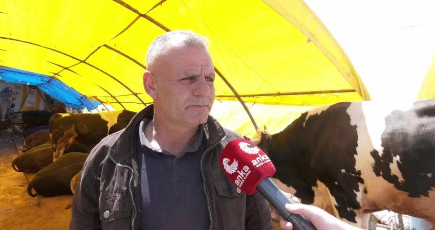 Kurban Bayramı öncesi Keçiören Hayvan Pazarı’nda büyükbaş hayvan fiyatları 200