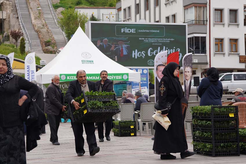 Kızılcahamam Belediyesi’nin yüzde 50 hibeli sebze fidesi desteği kapsamında bugüne