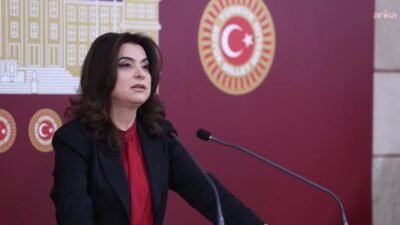 DEM Parti Grup Başkanvekili Gülistan Kılıç Koçyiğit, kadın siyasetçilere yönelik
