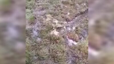 Ordu’nun Korgan ilçesinde mera alanlarında yapılmak istenen maden arama faaliyetlerine