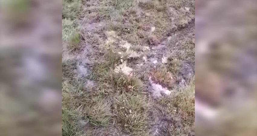 Ordu’nun Korgan ilçesinde mera alanlarında yapılmak istenen maden arama faaliyetlerine