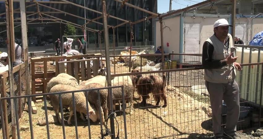 Kurban Bayramı’nın son gününde ANKA Haber Ajansı’na konuşan besiciler dertlerini
