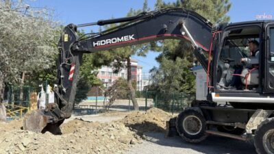 Kuşadası Belediyesi, inşaat sahalarında kesilme riski bulunan ağaçları yerinden sökerek