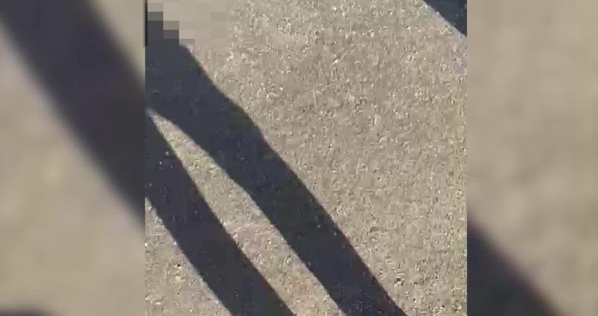 Malatya’da eski eşi Hüseyin Karakaya tarafından av tüfeğiyle vurun Feride