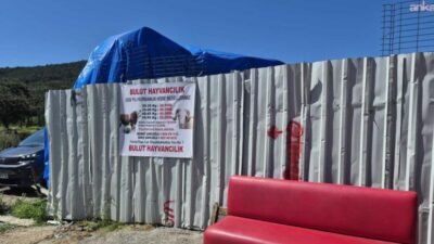 Maltepe Belediyesi Zabıta Müdürlüğü ekipleri, ilçe genelindeki birçok mahallede eş