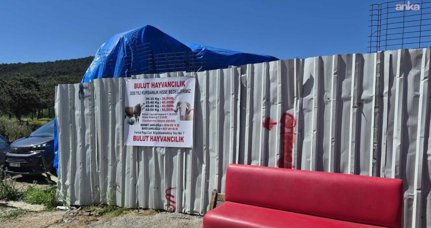 Maltepe Belediyesi Zabıta Müdürlüğü ekipleri, ilçe genelindeki birçok mahallede eş