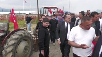 Manisa Büyükşehir Belediyesi'nin yerel tohumların korunması amacıyla başlattığı sebze fidesi