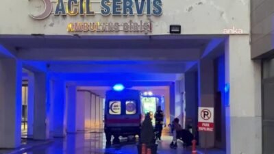 Mardin’in Artuklu ilçesine bağlı kırsal Gökçe Mahallesi’nde, geri manevra yapan