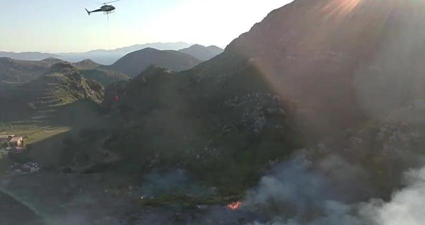 Muğla’nın Marmaris ilçesi Bozburun-Selimiye hattında otluk ve makilik alanda çıkan