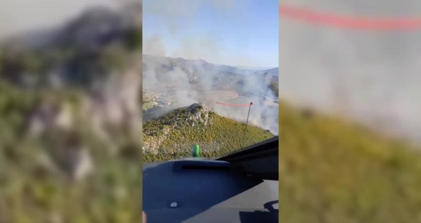 Muğla'nın Marmaris ilçesinde Bozburun-Selimiye bölgesinde otluk ve makilik alanda çıkan