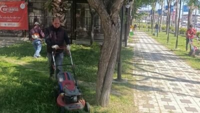 Menderes Belediyesi, ilçe genelinde yabancı otlara karşı geniş çaplı temizlik